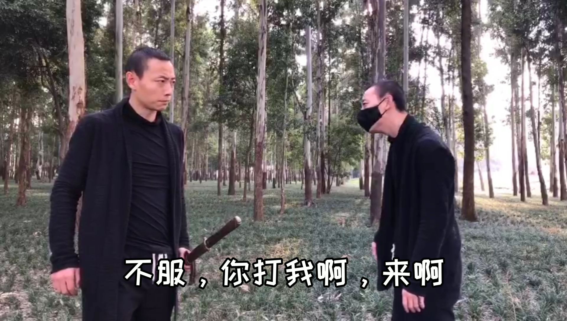 到底是拳快还是剑快?